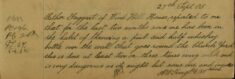 Report About Whiskey Bottles Being Thrown Over The Church Wall