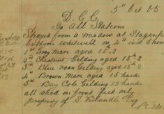 Five Horses Strayed From A Meadow At Stagenhoe Bottom