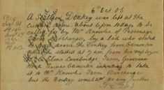 Donkey Left At The Currier's Arms For Collection By Its New Owner