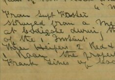 Three Heifers Strayed From A Meadow At Codicote