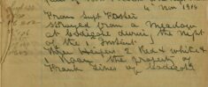 Three Heifers Strayed From A Meadow At Codicote