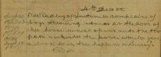 Complaint About Boys Throwing Stones At Her Front Door