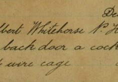 Bullfinch In A Cage Stolen From Outside The White Horse Public House