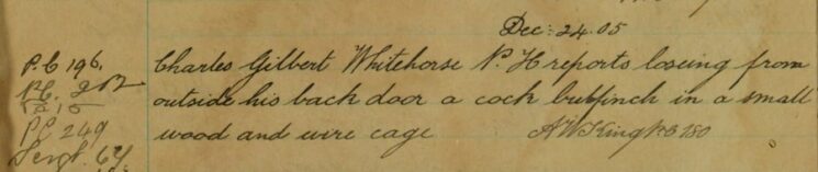 Bullfinch In A Cage Stolen From Outside The White Horse Public House