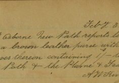 Brown Leather Purse Lost Between New Path And Plume Of Feathers