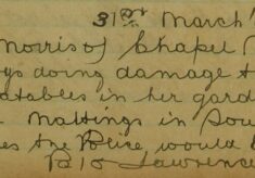Complaint About Boys Damaging Vegetables In Her Garden