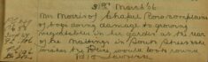 Complaint About Boys Damaging Vegetables In Her Garden