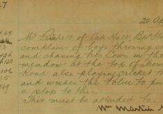 Complaint About Boys Throwing Stones And Worrying His Cows