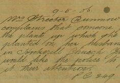 Complaint About Someone Removing Plants From Her Husband's Grave
