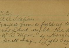 From DCC: Four Horses Strayed From A Field At Willian