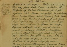 Amended Description Of Horse, Cart and Harness Stolen From St Peter's