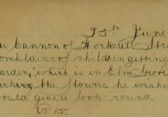 Complaint About Children Picking The Flowers In His Garden