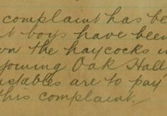 Complaint About Boys Knocking Down Haycocks