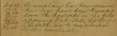 Complaint About Boys Knocking Down Haycocks