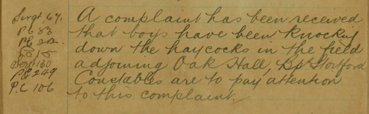 Complaint About Boys Knocking Down Haycocks