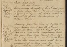 Three Cockerels Stolen from Field