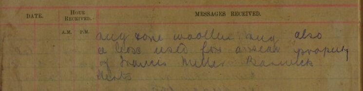 Missing Pony And Cart - Standon continued