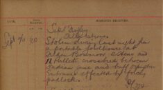 Fowls Stolen From A Fowl-house At Felden