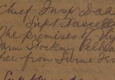 Willow Farm At Stocking Pelham Declared Free From Swine Fever