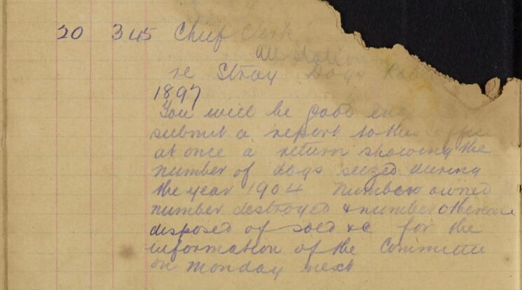 Instructions to Force to Provide Information re Stray Dogs 1897