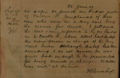 Report Of Man Being Drunk Whilst In Charge Of A Pony and Cart