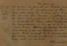 Report Of Man Being Drunk Whilst In Charge Of A Pony and Cart