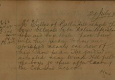 Complaint About Boys Stealing Peas From A Garden
