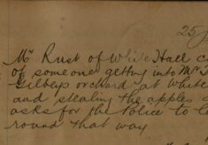 Complaint About Apples Being Stolen From An Orchard
