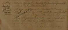 Stray Pony At Acton's Farm, High Wych