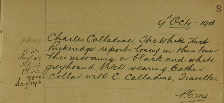 Greyhound Bitch Lost In Bishops Stortford