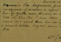 Report Of Youths Throwing Stones At A Walnut Tree In Elm Road