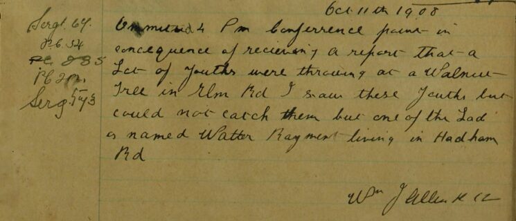 Report Of Youths Throwing Stones At A Walnut Tree In Elm Road