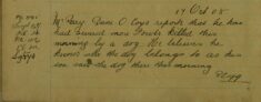 Fowls Killed By A Dog At Dane O'Coys