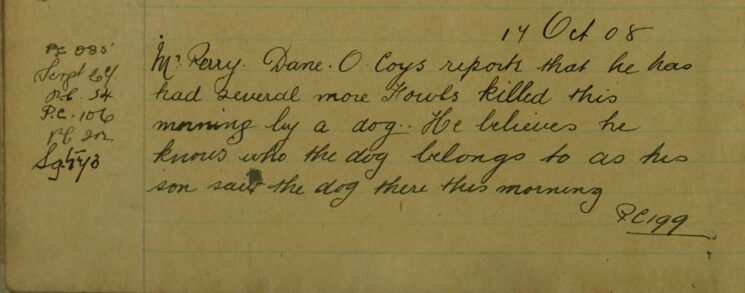 Fowls Killed By A Dog At Dane O'Coys