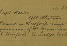 Ladies' Motor Veil Found In Hertford