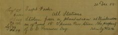 18 Fir Trees Stolen From A Plantation At Brickenden