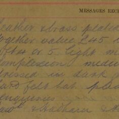 Stolen Horse And Gig? - Luton