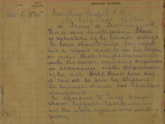 Compensation For A Horse - Sawbridgeworth