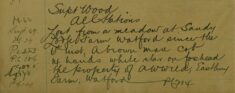 Mare Cob Lost From A Meadow At Watford