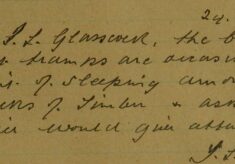 Report Of Tramps Sleeping Amongst Builder's Timber Stacks