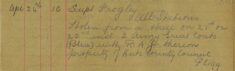 Two Army Greatcoats Stolen From A Shed