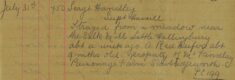 Heifer Strayed From A Meadow At Little Hallingbury