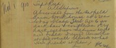 Absconded From Hatfield Union Workhouse