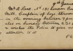 Complaint of Boys Throwing Stones