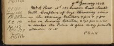 Complaint of Boys Throwing Stones