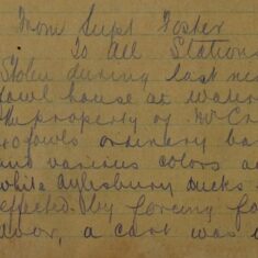 Stolen Fowl Waterford & Stray Horse