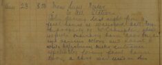 Stolen Fowl Waterford & Stray Horse