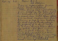 Theft From Lodgings - Sandy