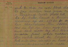 Theft Of Bicycle By Walter Barrett - St. Albans continued