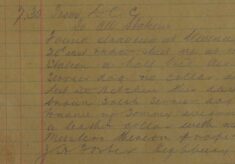 Stray Dogs At Stevenage And Hitchin
